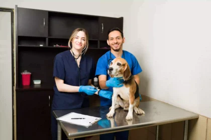 10 Warning Signs You Should Take Your Dog to the Vet