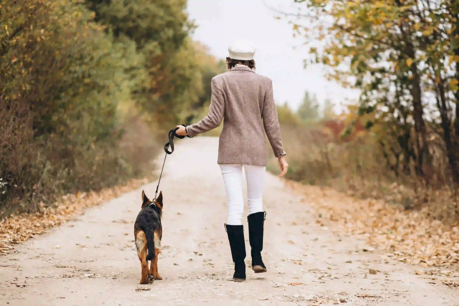 8 Surprising Reasons Why You Should Walk Your Dog