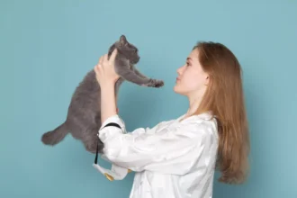 Basic Health Care Tips to Keep Your Cat Healthy
