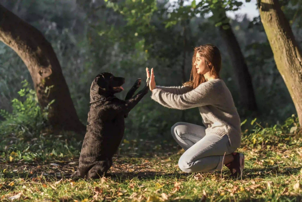 Easy Ways to Strengthen the Bond With Your Pet