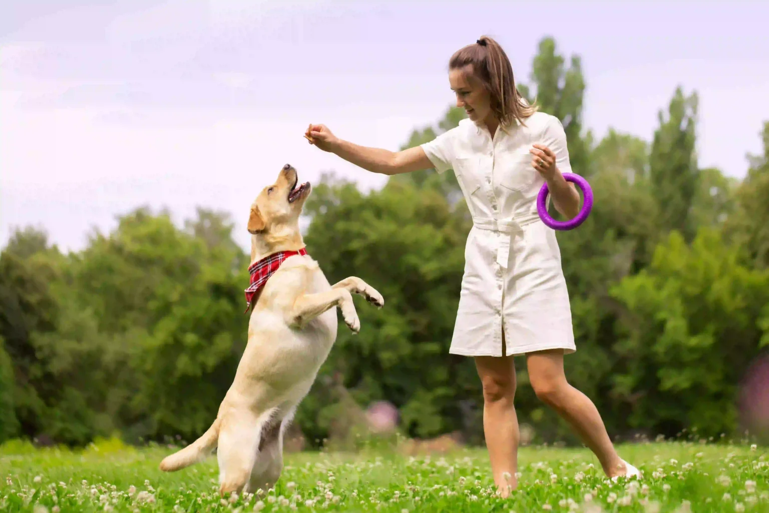 How to Train Your Dog to Listen No Matter What