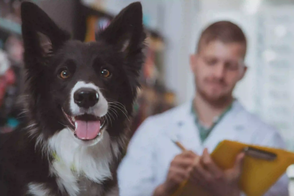 The Therapeutic Presence of Pets