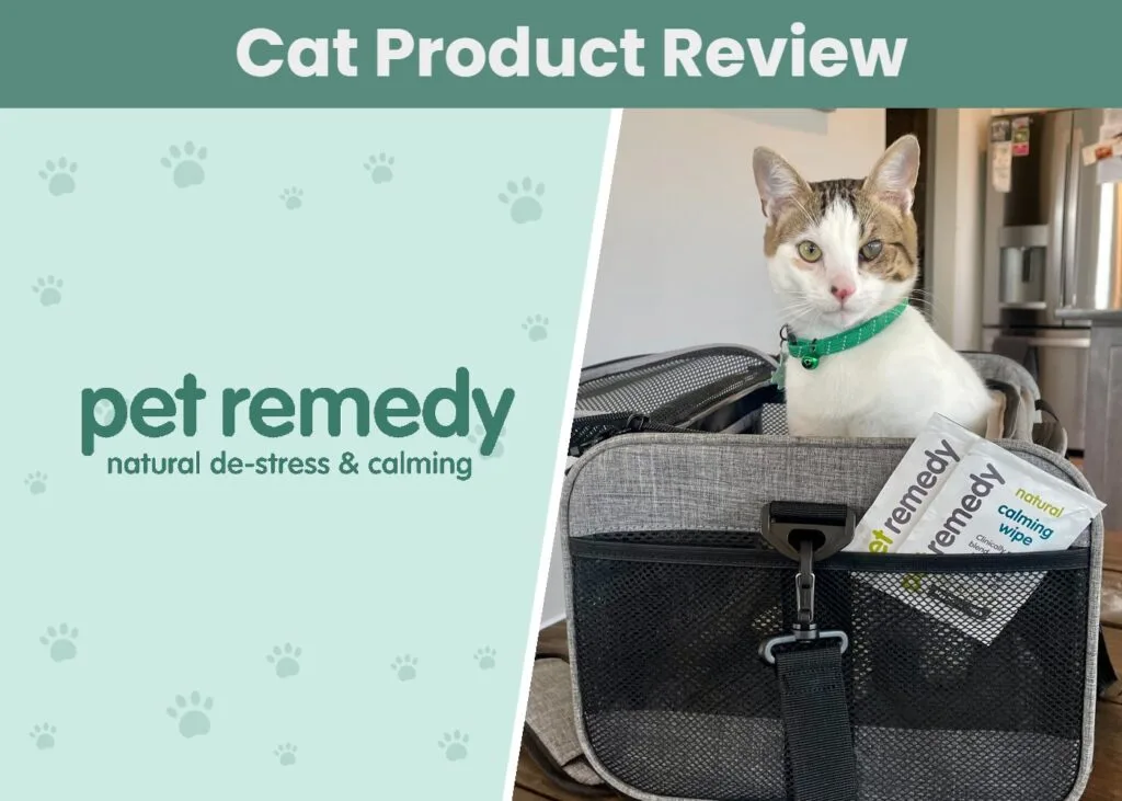 Pet Remedy Kitten Calming Kit Review