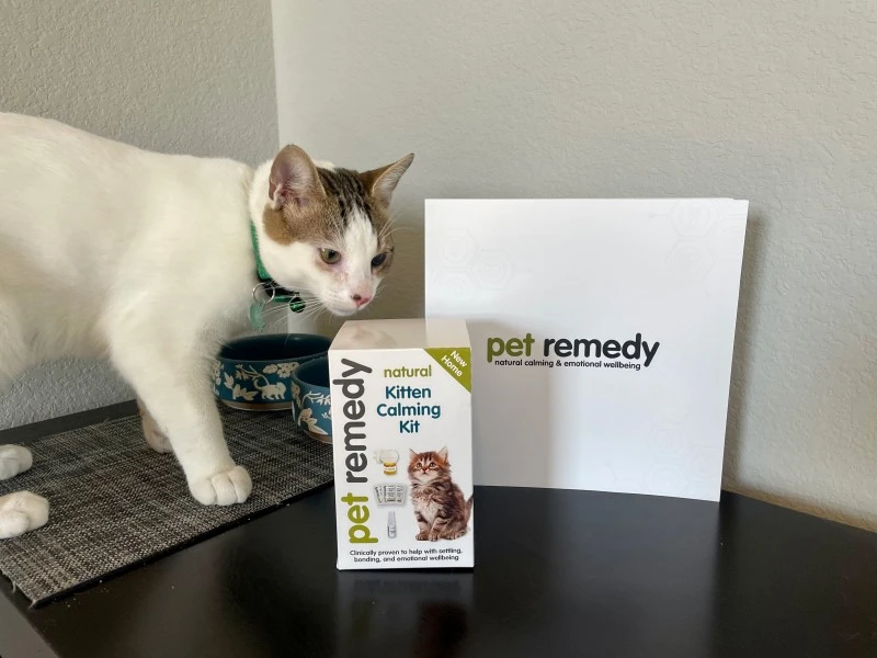Pet Remedy Kitten Calming Kit cat sniffing the product box ezgif.com jpg to webp converter